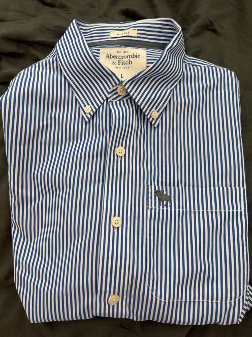 Abercrombie & Fitch Blue and White Striped Button-Down Shirt - Men's